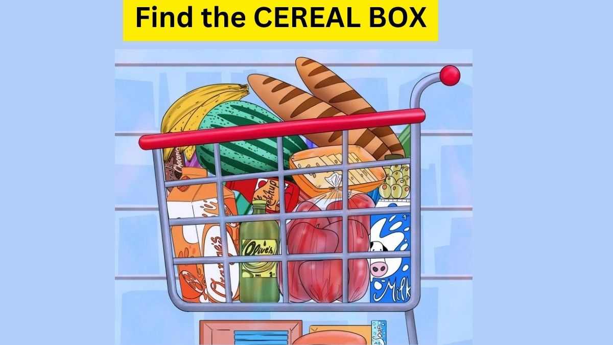 Test Your IQ: Find the CEREAL BOX Hidden in the Grocery Trolley within 13 Seconds. Good Luck!