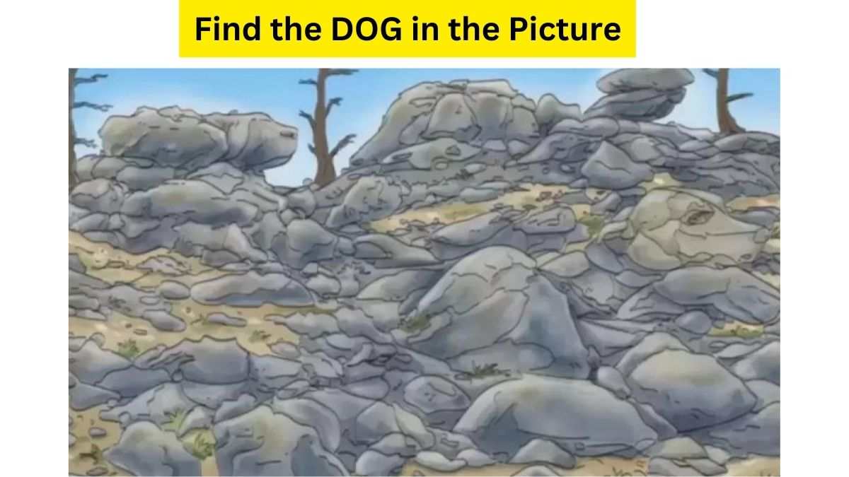 Movierulz4: Find Any Movie In Seconds! - qou2mp7