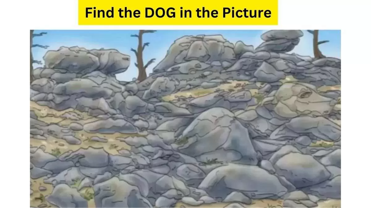 Spot The Dog In The Picture!
