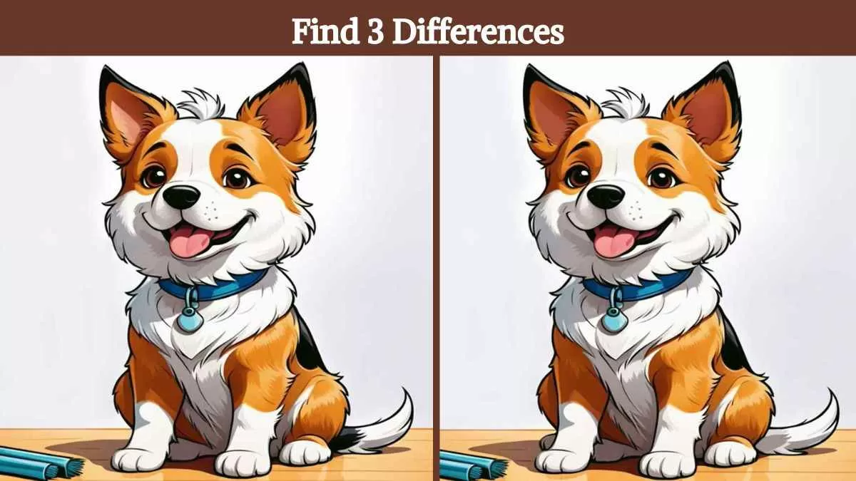 Find 3 differences in 11 seconds