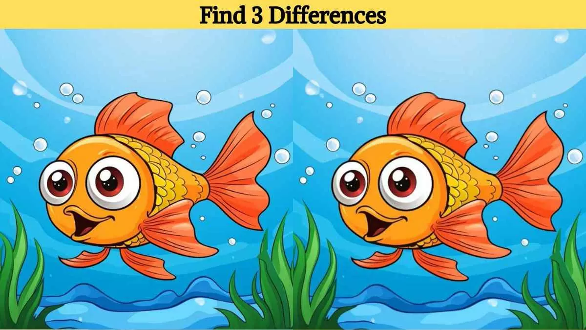 Find 3 differences in 14 seconds
