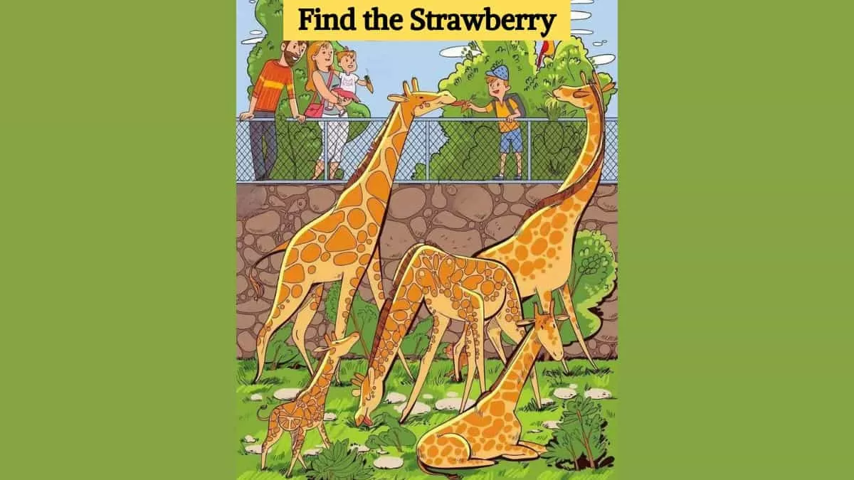 Find the hidden strawberry