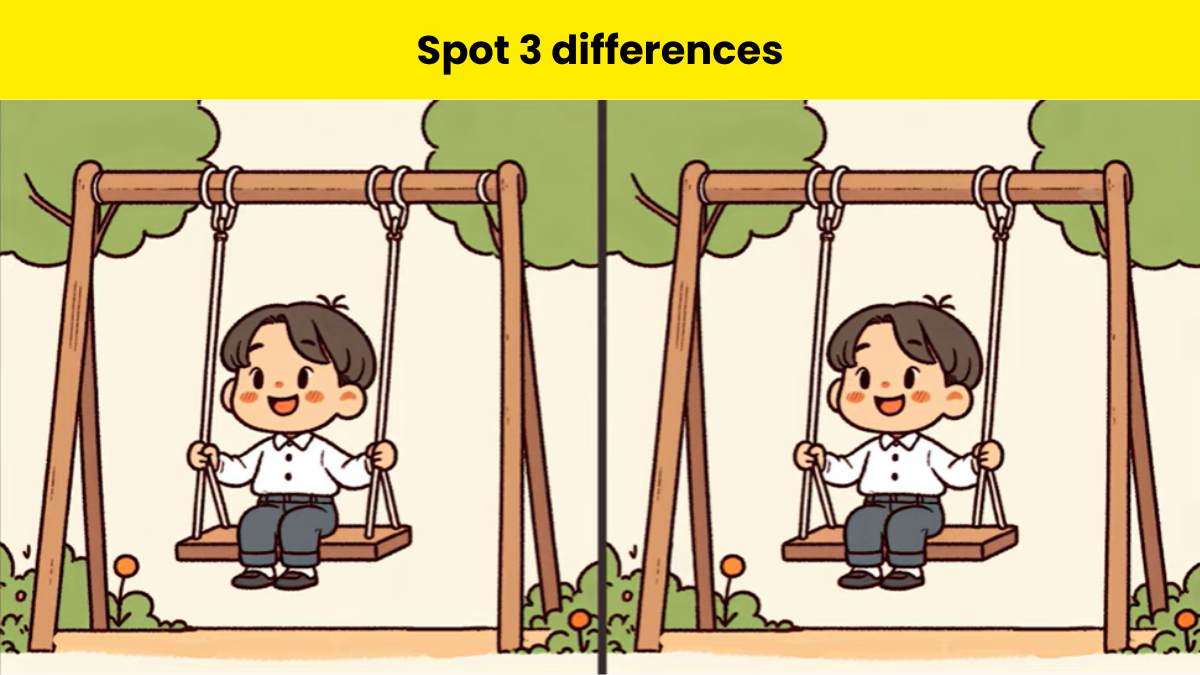 Only keen observers can spot 3 differences between a boy on swing pictures in 12 seconds. 