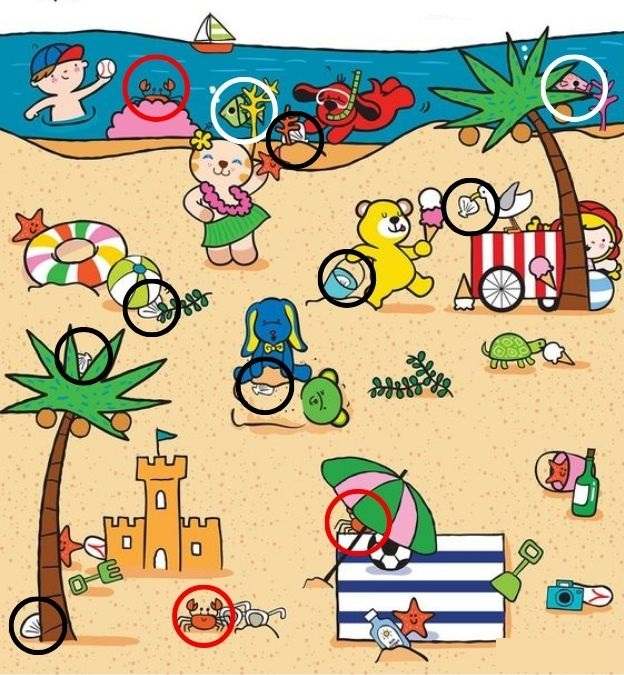 picture puzzles with answers