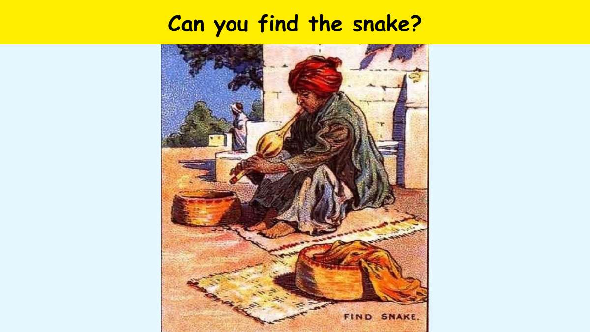 You have great eyes if you can spot the snake hidden in the snake charmer picture within 7 seconds. 