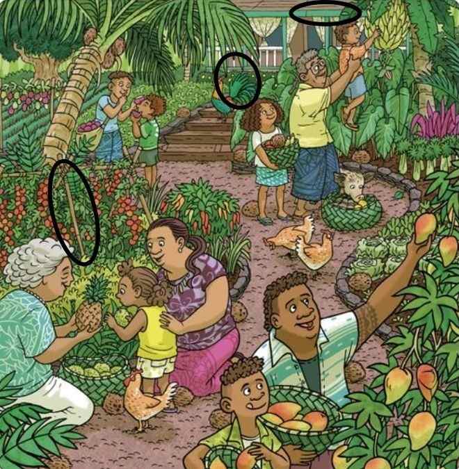 optical illusions with answers