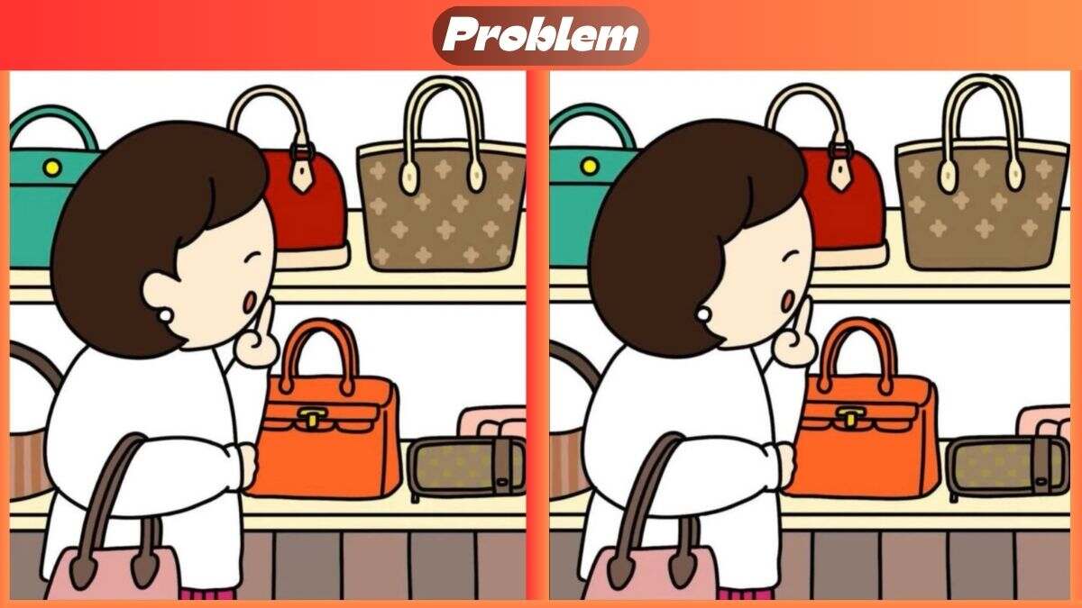 Find 3 Differences In 41 Seconds In This Purse Shopping Scene