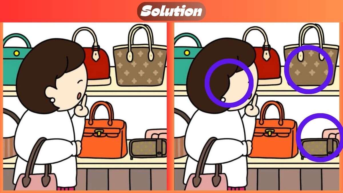 Find 3 Differences In 41 Seconds In This Purse Shopping Scene