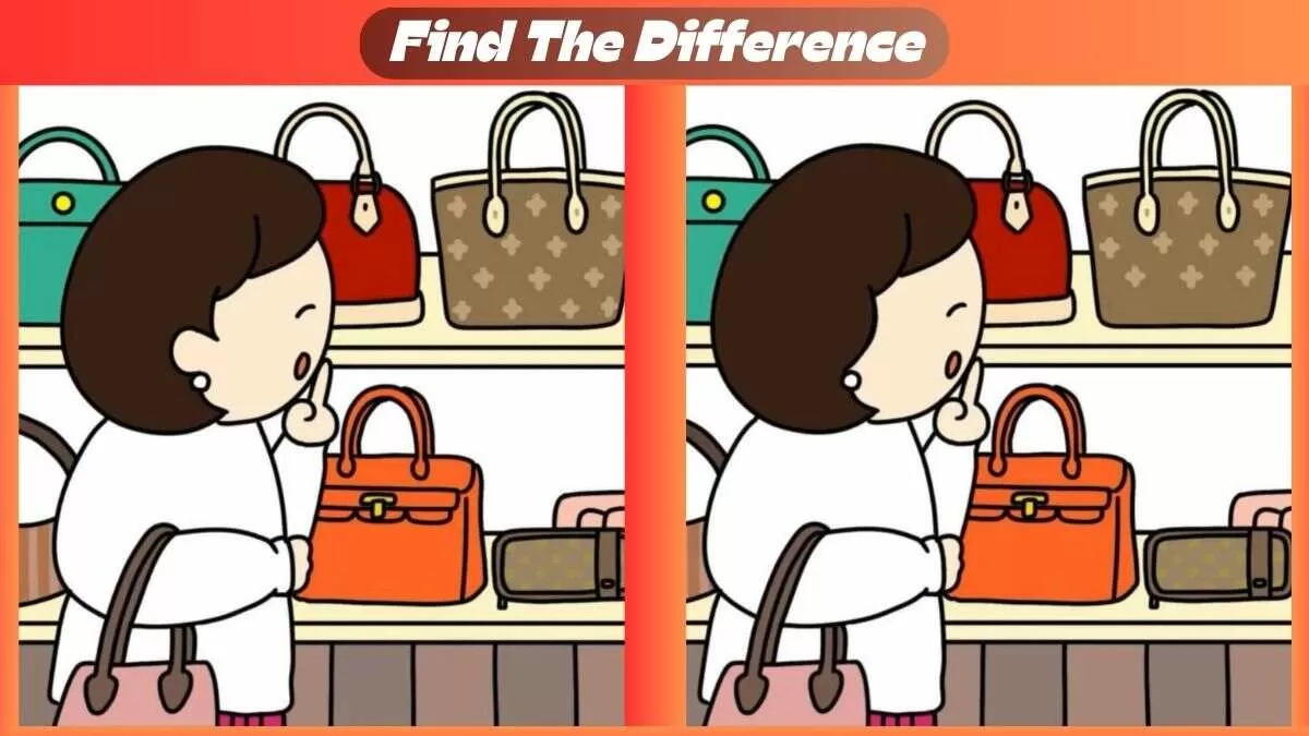 Find 3 Differences In 41 Seconds In This Purse Shopping Scene