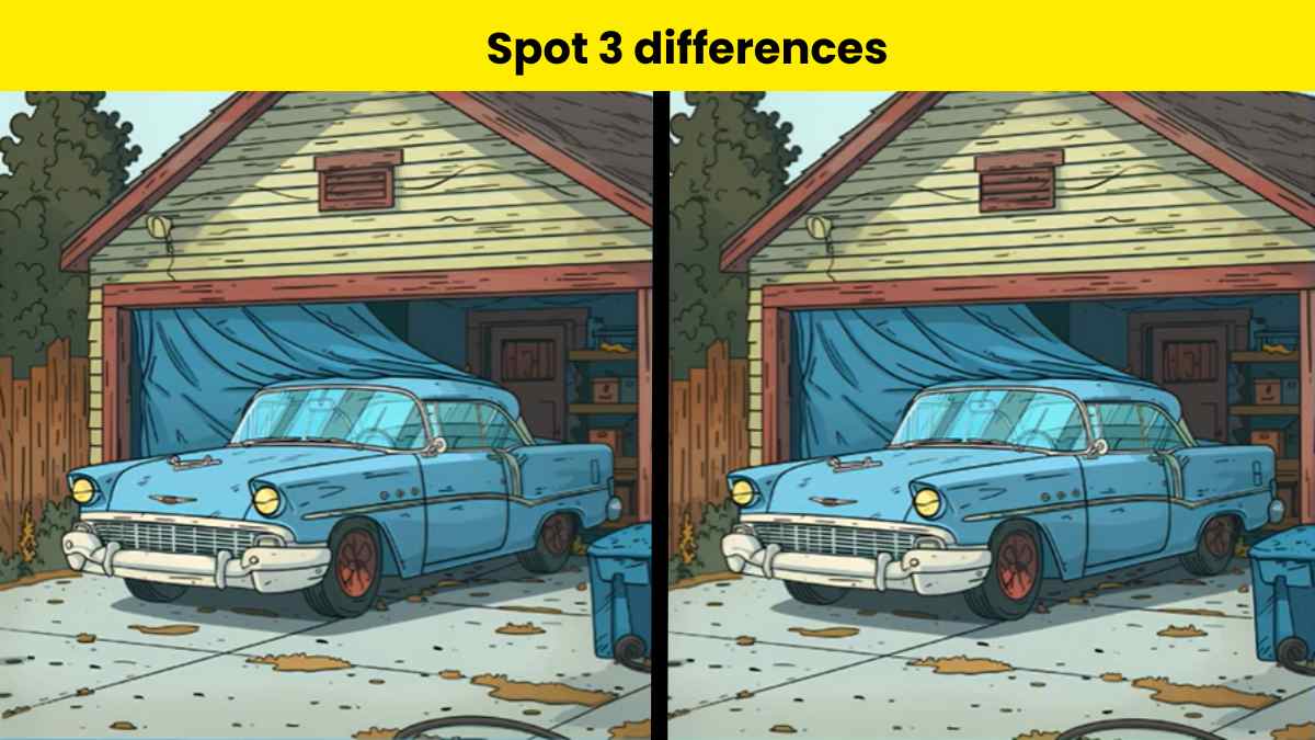 You have incredible observation skills if you can spot 3 differences between the car in garage pictures within 15 seconds. 