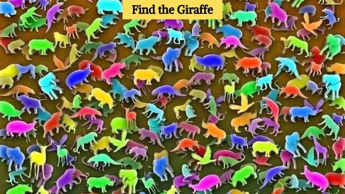 Only highly observant eyes can find the hidden giraffe in the picture in 6 seconds!