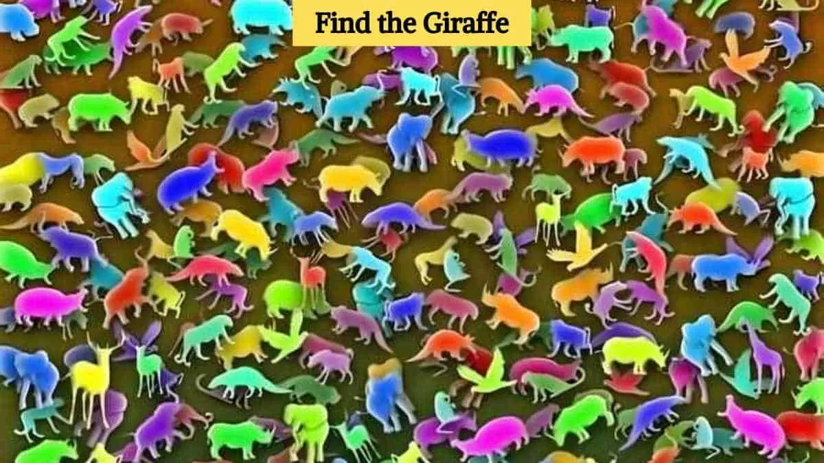 Find the giraffe