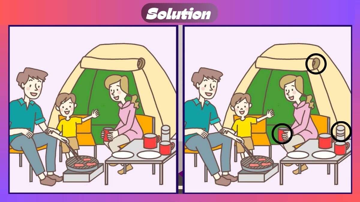 Find 3 Differences In 31 Seconds In Family Camping Scene