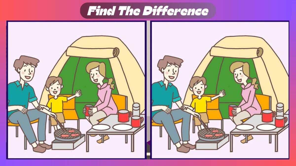 Find 3 Differences In 31 Seconds In Family Camping Scene