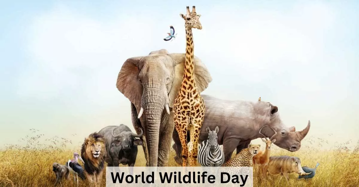 World Wildlife Day 2024