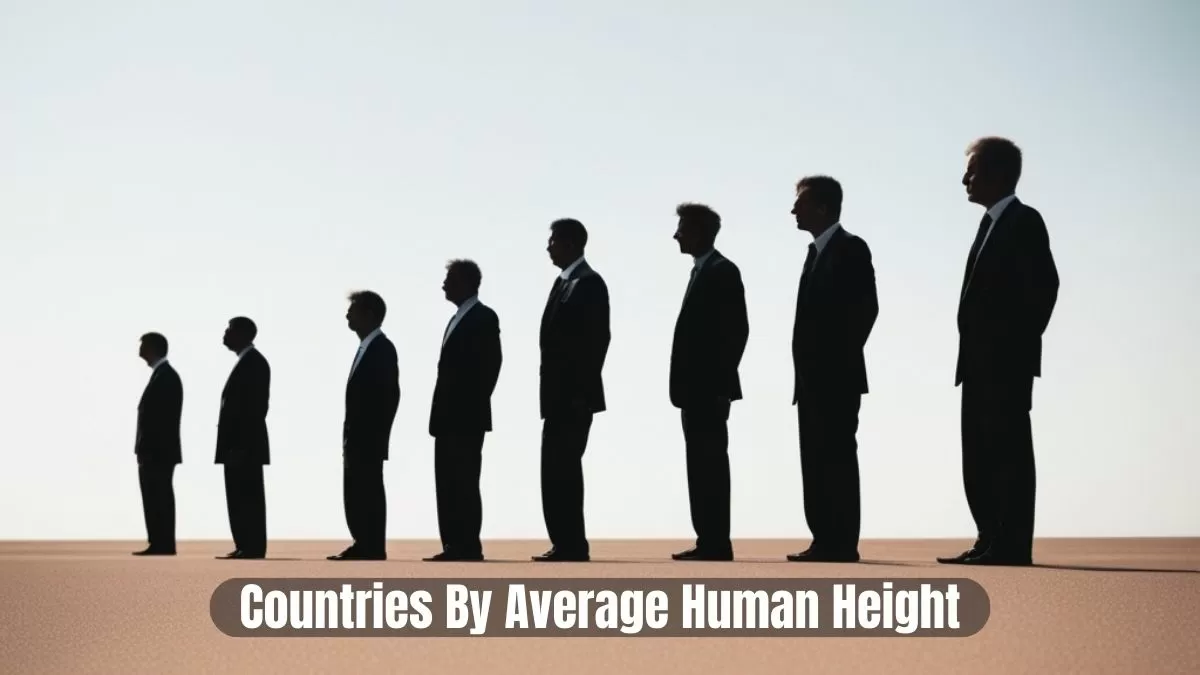 List of Top 15 Countries by Average Human Height in 2024