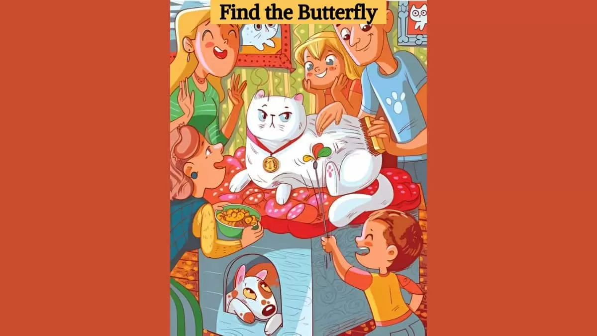 Find the butterfly