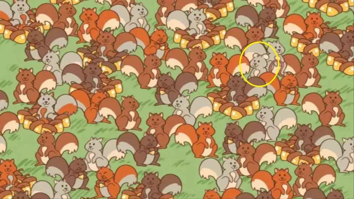 Optical Illusions IQ Test Can You Spot The Mouse Hidden Among