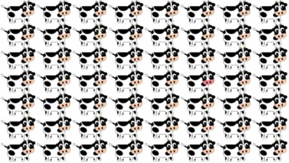 Picture Puzzles To Test IQ: Can You Spot The Odd One Out Cow In 15 Seconds?
