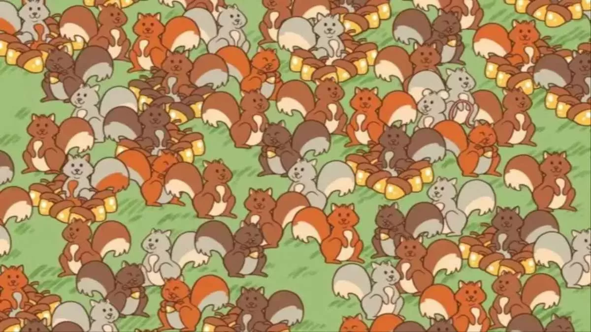 Can You Find the Mouse Among the Squirrels? — Puzzle and Brain Teaser