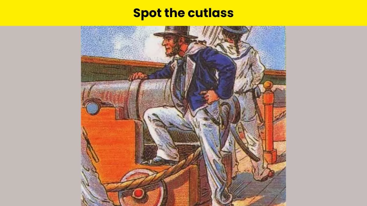 Spot the captain's cutlass