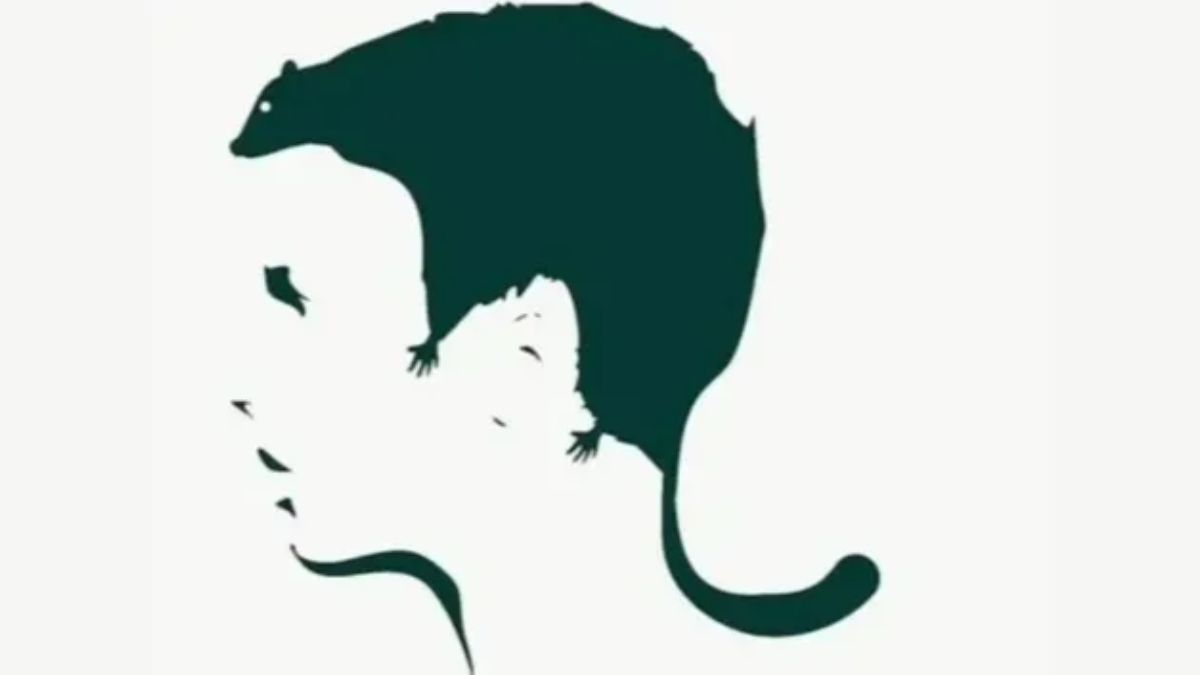 optical illusion personality test