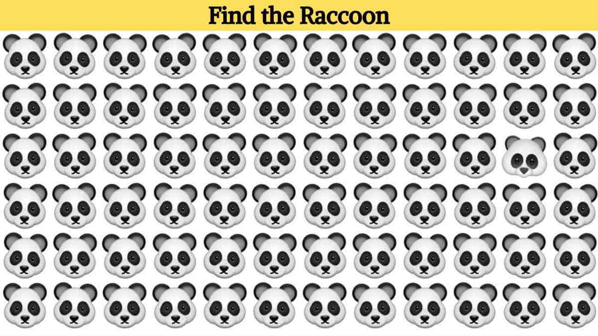 Optical Illusion: Find the raccoon in the picture in 6 seconds!