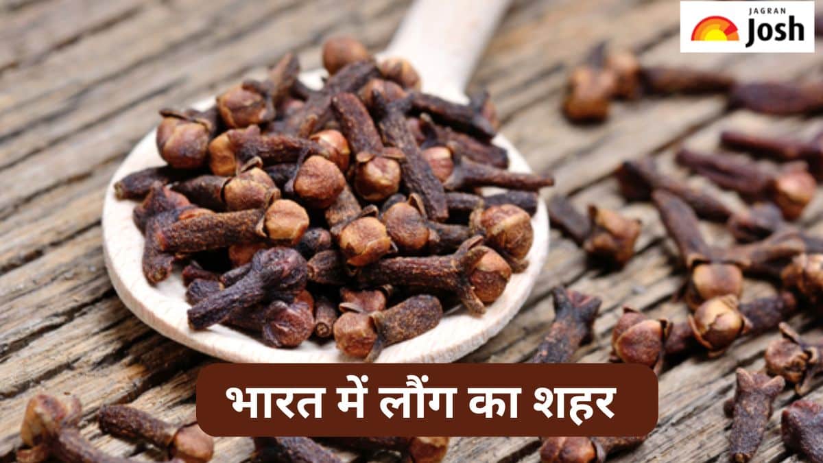 भारत में किस शहर को कहा जाता है लौंग का शहर, जानें 