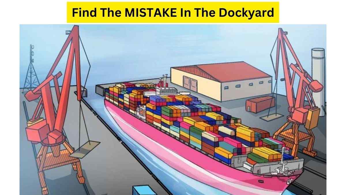 Mental IQ Test: Find The Mistake In The Dockyard Picture Within 5 Seconds. Good Luck!