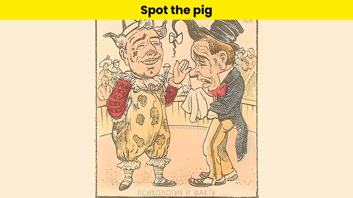Spot the pig in 7 seconds