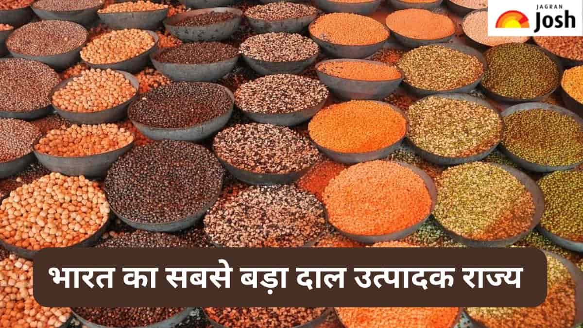 भारत का सबसे बड़ा दाल उत्पादक राज्य कौन-सा है, जानें 