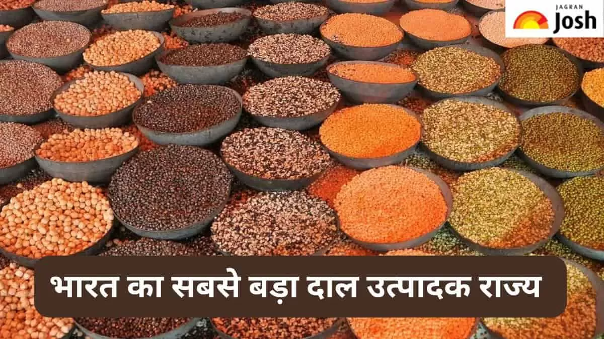 सबसे बड़ा दाल उत्पादक राज्य