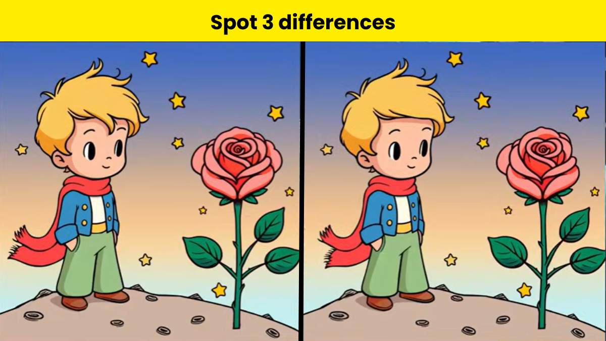 Only highly attentive can spot 3 differences between the boy and rose pictures in 12 seconds. 