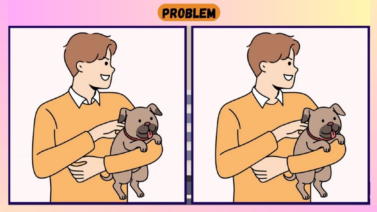Find 3 Differences In 18 Seconds In Dog Lover Scene