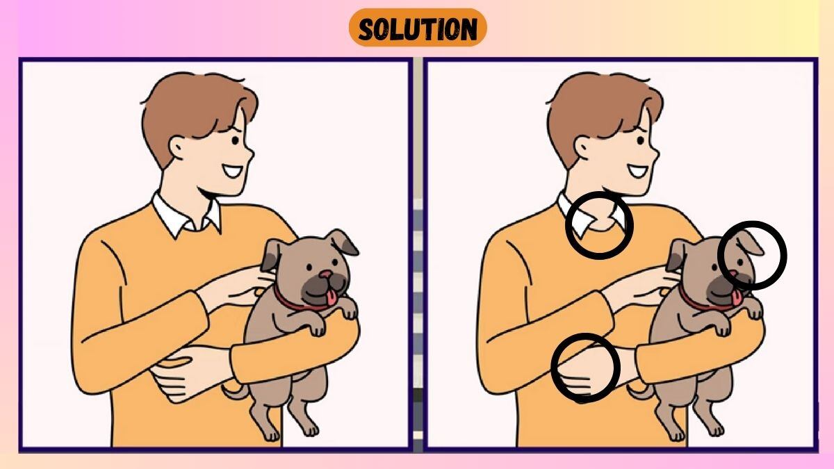 Find 3 Differences In 18 Seconds In Dog Lover Scene