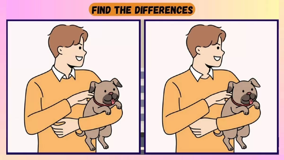 Find 3 Differences In 18 Seconds In Dog Lover Scene