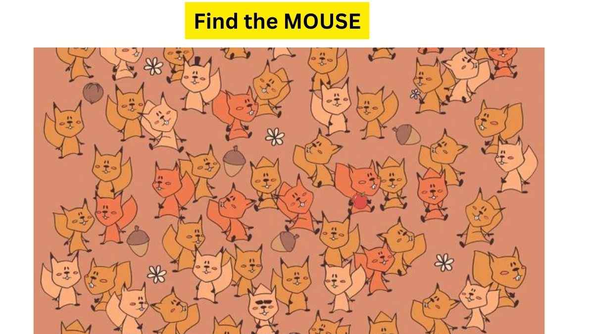 Can You Find the Mouse Hidden Among Squirrels in This Brainteaser?