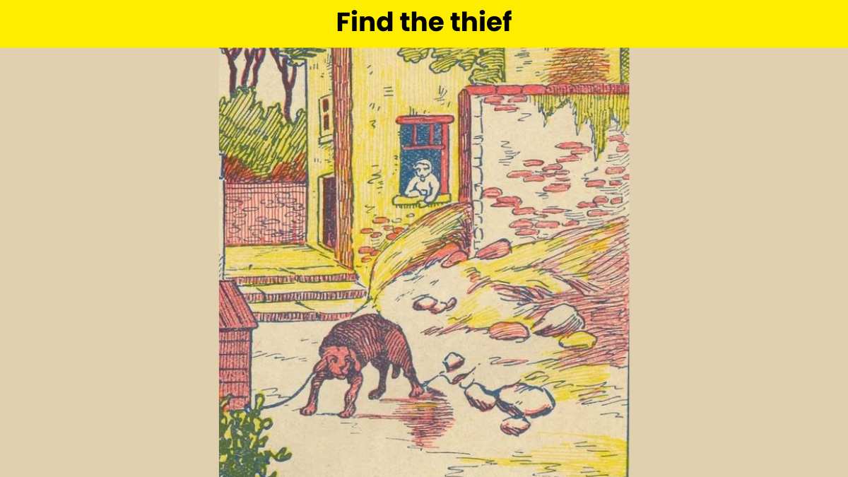 Only attentive people can find the thief in the yard within 6 seconds. 