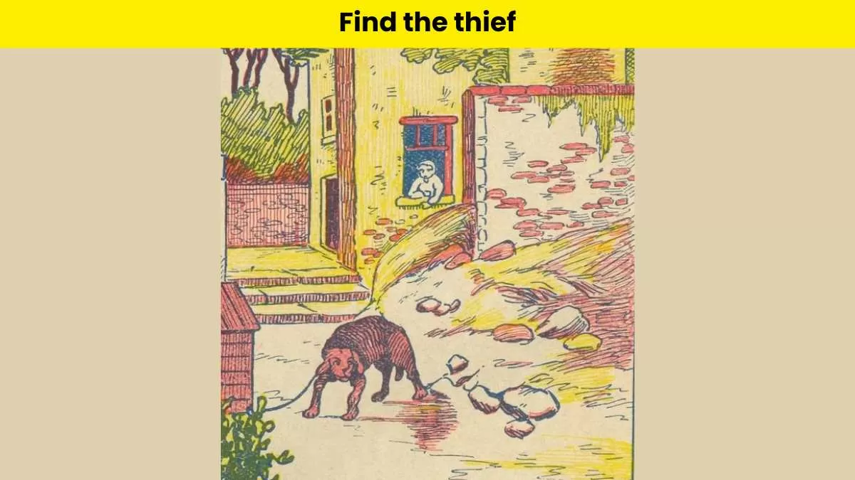 Find the thief in 6 seconds