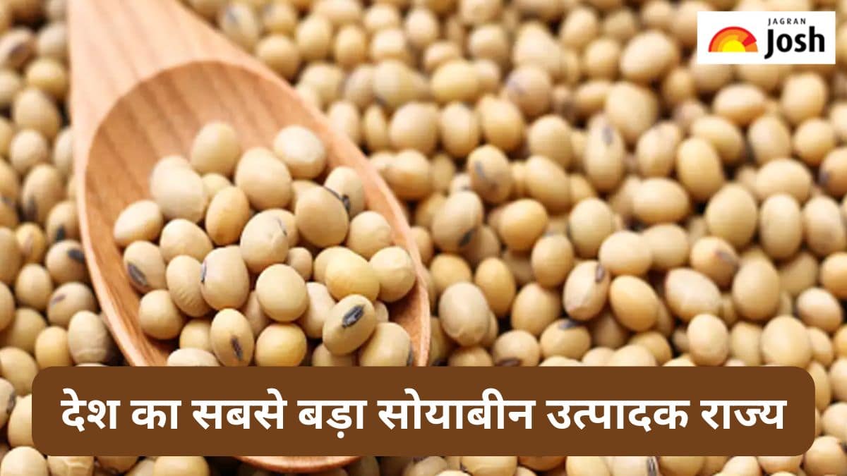 भारत का सबसे बड़ा सोयाबीन उत्पादक राज्य कौन-सा है, जानें 