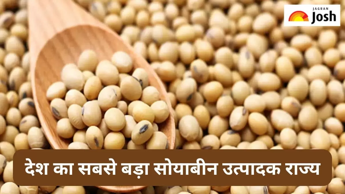 सोयाबीन का सबसे बड़ा उत्पादक राज्य