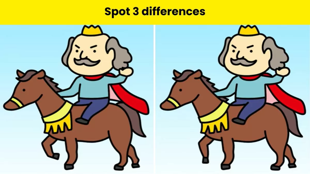 spot 3 differences between the king on horse pictures