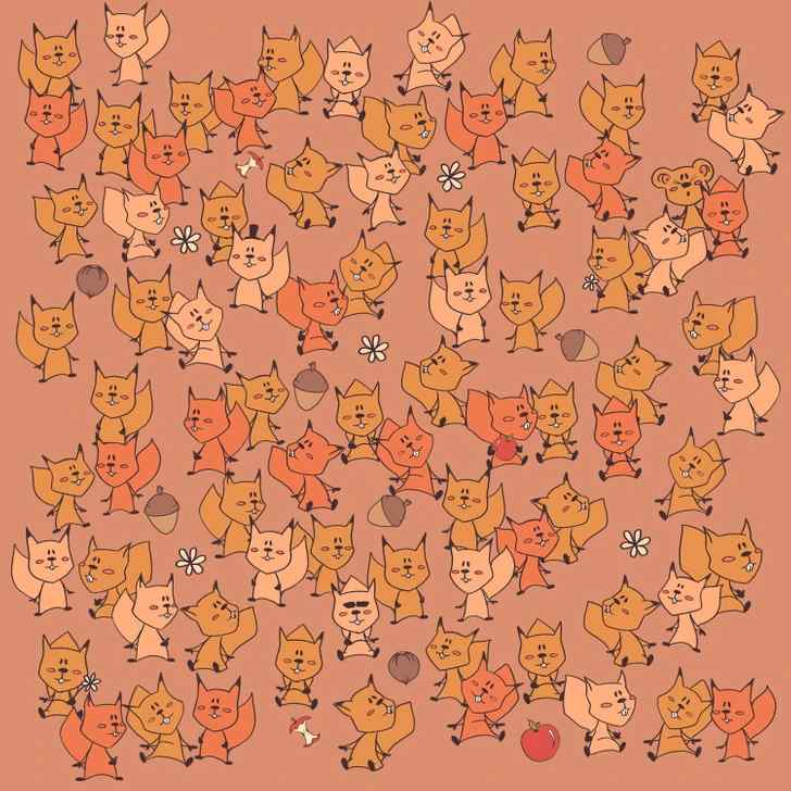 where is the mouse in the picture