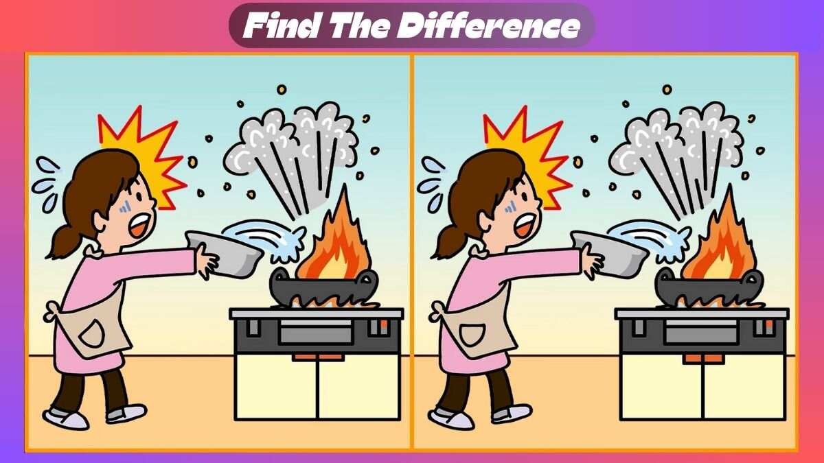 Find 3 Differences In 19 Seconds Within The Scene of Kitchen Disaster