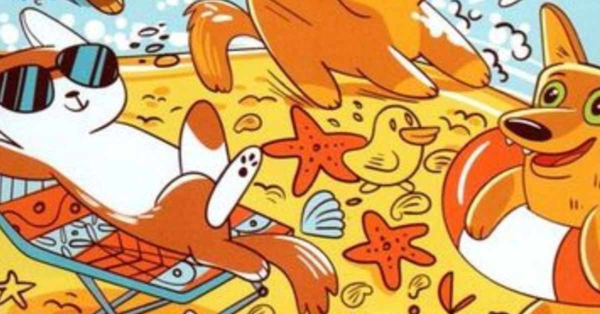 Seek and Find Puzzle: Think You're Sharp? Find the Sneaky Bone in Under 9 Seconds!