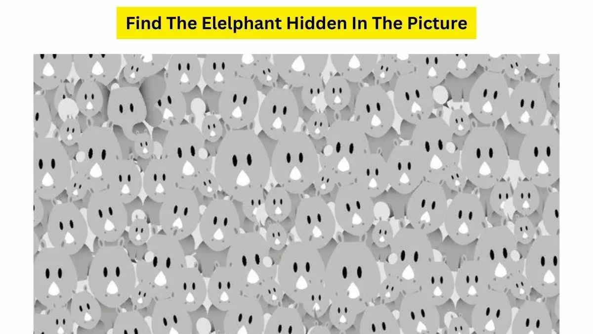 Brain Teaser IQ Test: Can You Find The ELEPHANT Hidden Among Koala ...