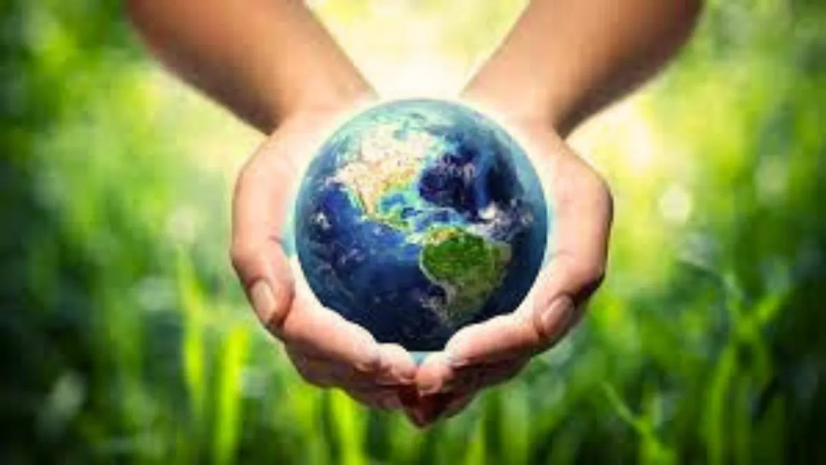 Top environmental movements of the world