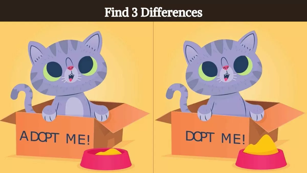 Find 3 differences in 9 seconds