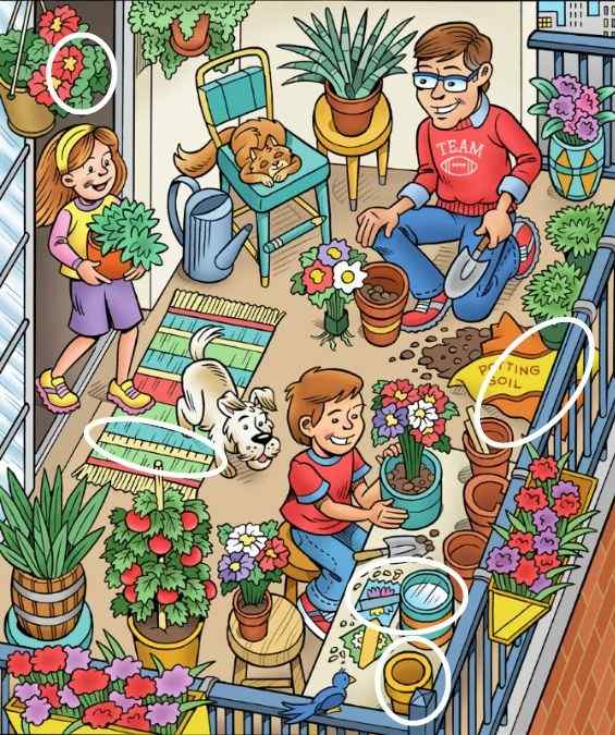 Picture Puzzle IQ Test: Use Your Hawk's Vision To Spot 5 Hidden Objects ...