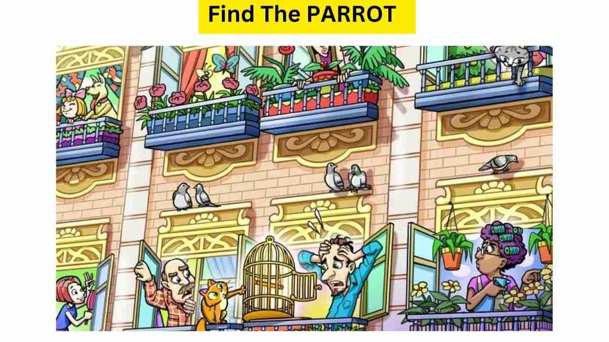 Optical Illusion IQ Test: Can You Find The Parrot Escaped From The Cage in 21 Seconds? Timer Is On!